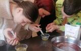 IMG_20250305_163923